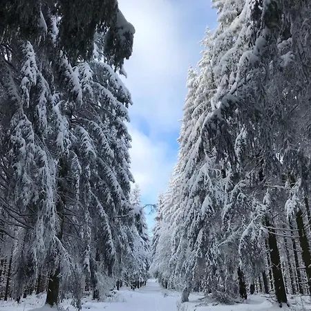 Дом отдыха Kuestelnest Медебах