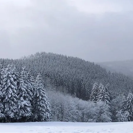 Kuestelnest Hébergement de vacances Medebach