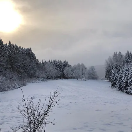 Kuestelnest Holiday home Medebach