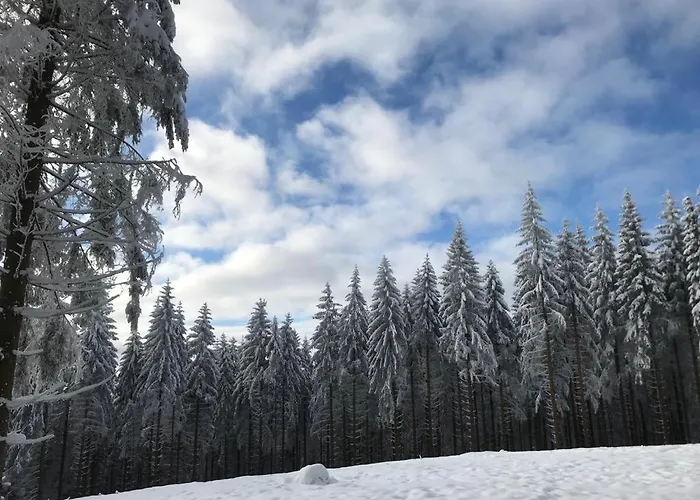 Kuestelnest Medebach