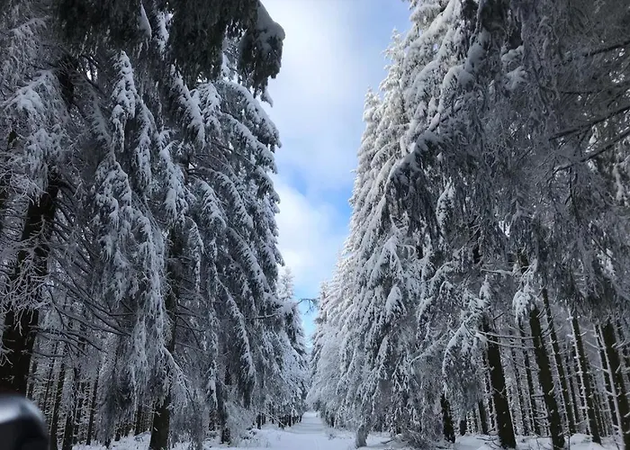 Feriehus Kuestelnest Medebach
