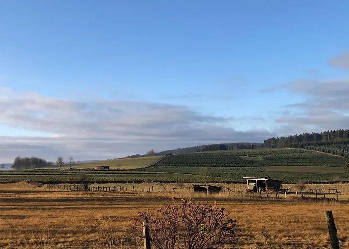 Kuestelnest * Medebach