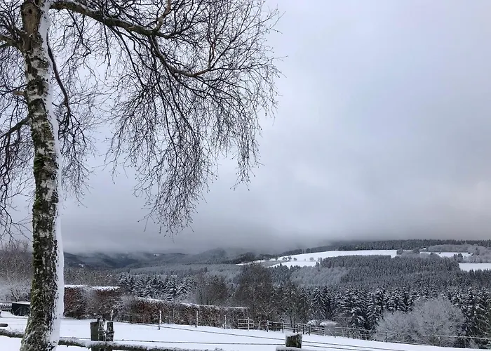 Kuestelnest * Medebach