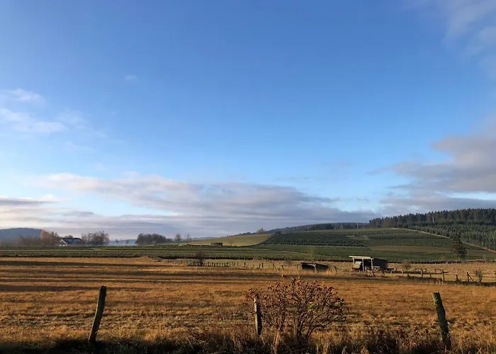 Kuestelnest Feriehus *