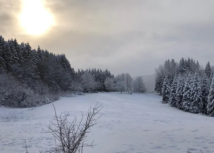 Kuestelnest Feriehus Medebach
